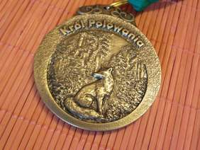 Pokaż zdjęcie: Medal dla Króla Polowania