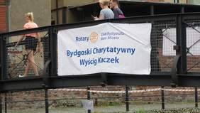 Pokaż zdjęcie: III Bydgoski Charytatywny Wyścig Kaczek zorganizował Rotary Bydgoszcz Stare Miasto