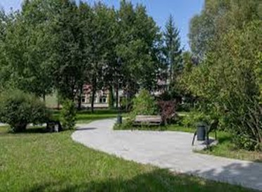 Zdjęcie przedstawia zrewitalizowany park, piękna zieleń, nowe ścieżki i ławeczki