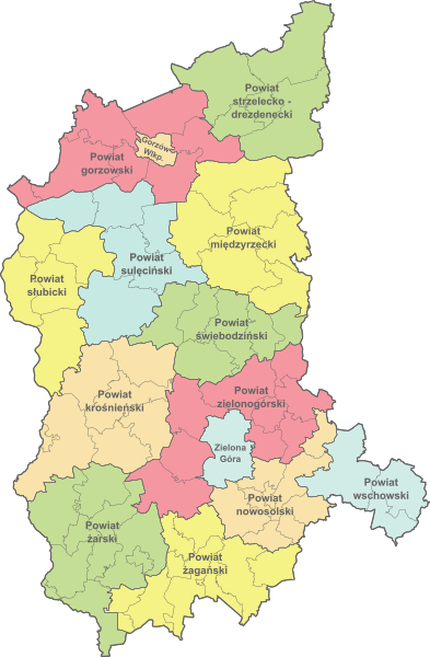 Kolorowa mapa województwa lubuskiego z podziałem na powiaty