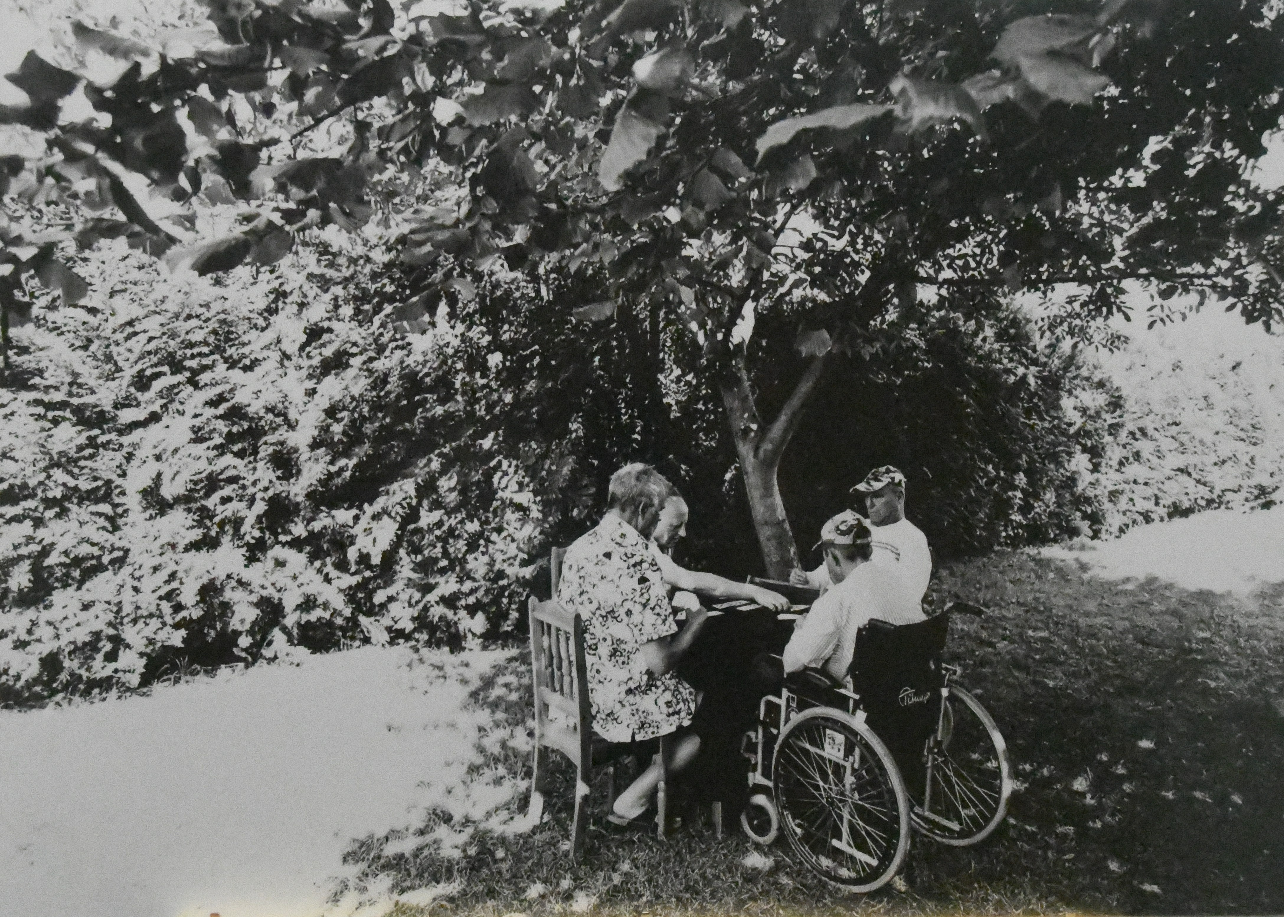 Fotografia czarno biała. Na pierwszym planie pod drzewem, cztery osoby grające w karty przy stoliku, jedna z osób na wózku. Plan zdjęcia stanowi wysoki żywopłot oraz trawnik.
