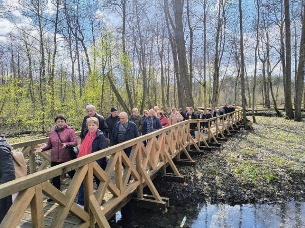 Drewniany pomost nad wodą wśród drzew, po którym spaceruje duża grupa starszych osób. 