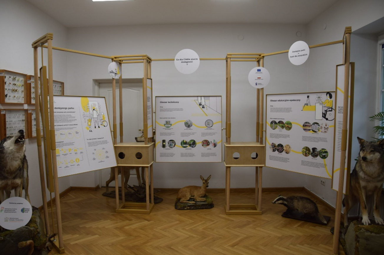 Widok pomieszczenia z wystawą składającą się z połączonych ze sobą trzech kwadratowych modułów z informacjami o Modelu dostępnego parku przyrodniczego. Wokół makiety zwierząt - wilk, sarna, borsuk.