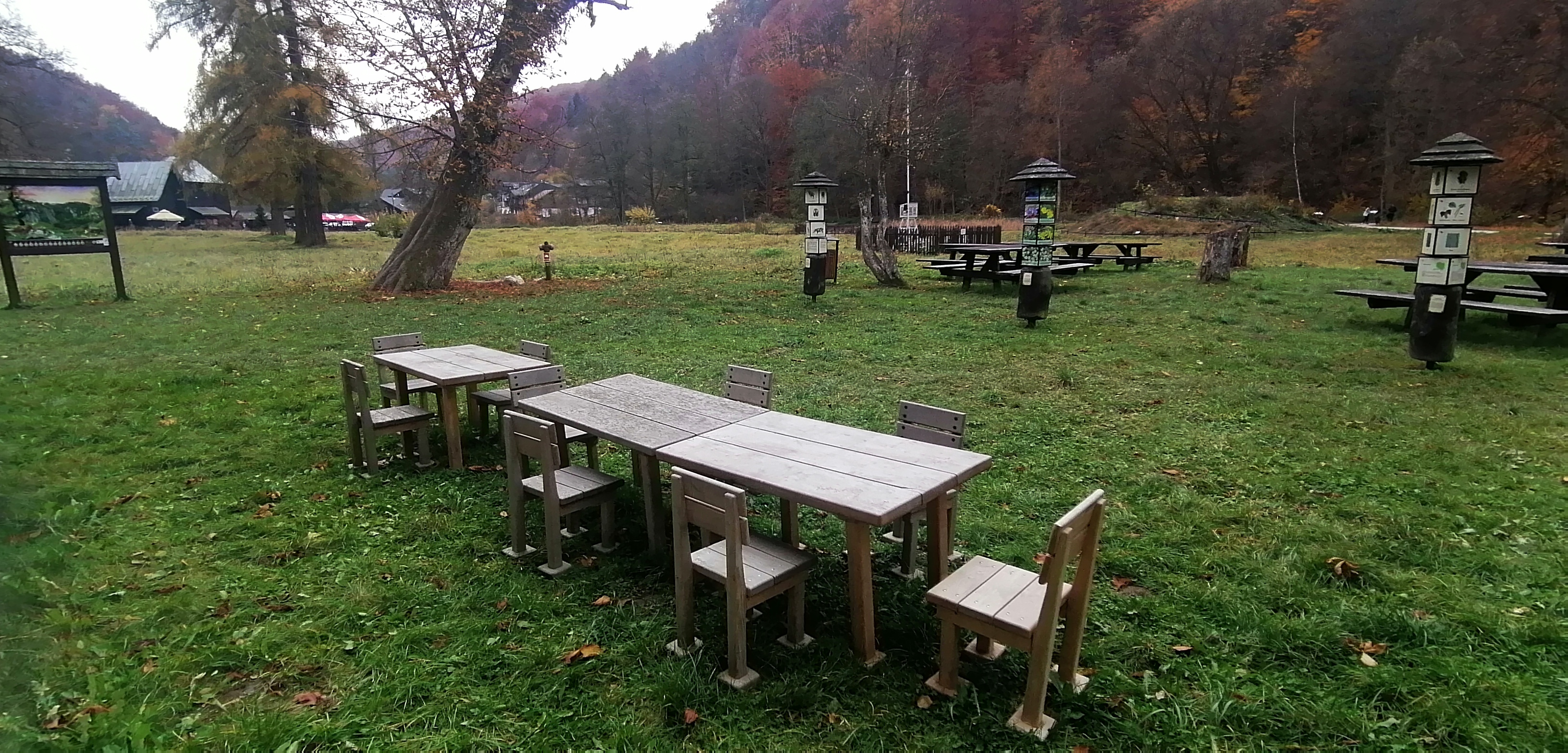 Przestrzeń edukacyjna Drewniane stoliki z krzesełkami dla dzieci ustawione na trawiastej polanie w parku. W tle ławostoły i tablice edukacyjne z ilustracjami zwierząt i roślin otoczone drzewami.