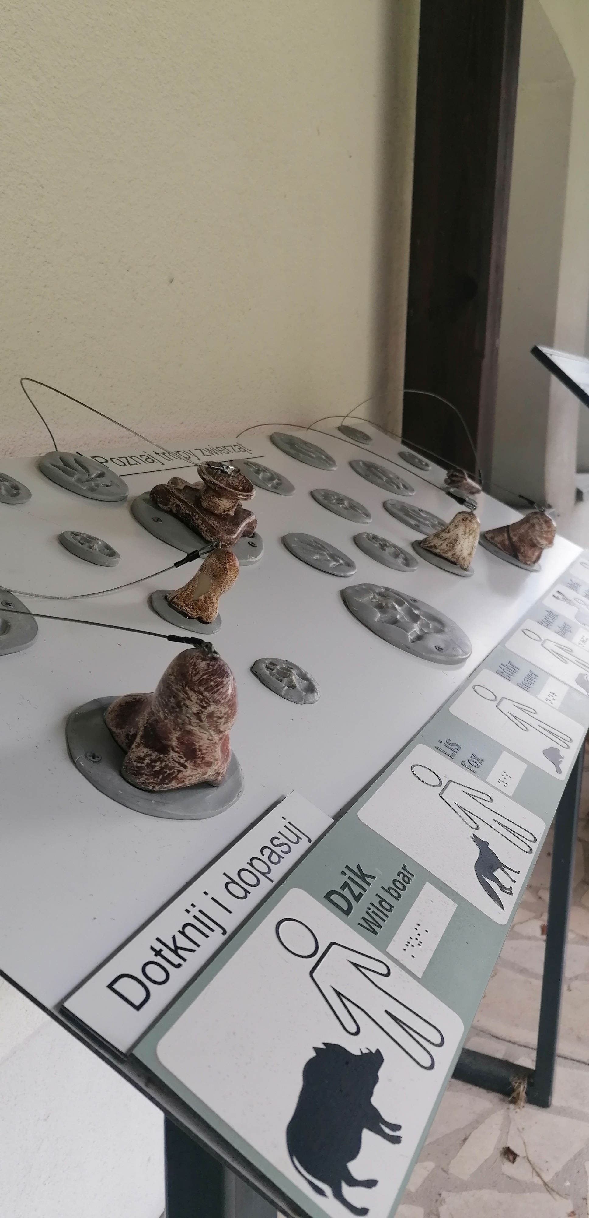 Tablica edukacyjna z odciskami zwierząt Tablica edukacyjna z odciskami zwierząt. Każdy trop opisany jest nazwą zwierzęcia, wraz z ilustracją oraz opisem w języku Braille’a.