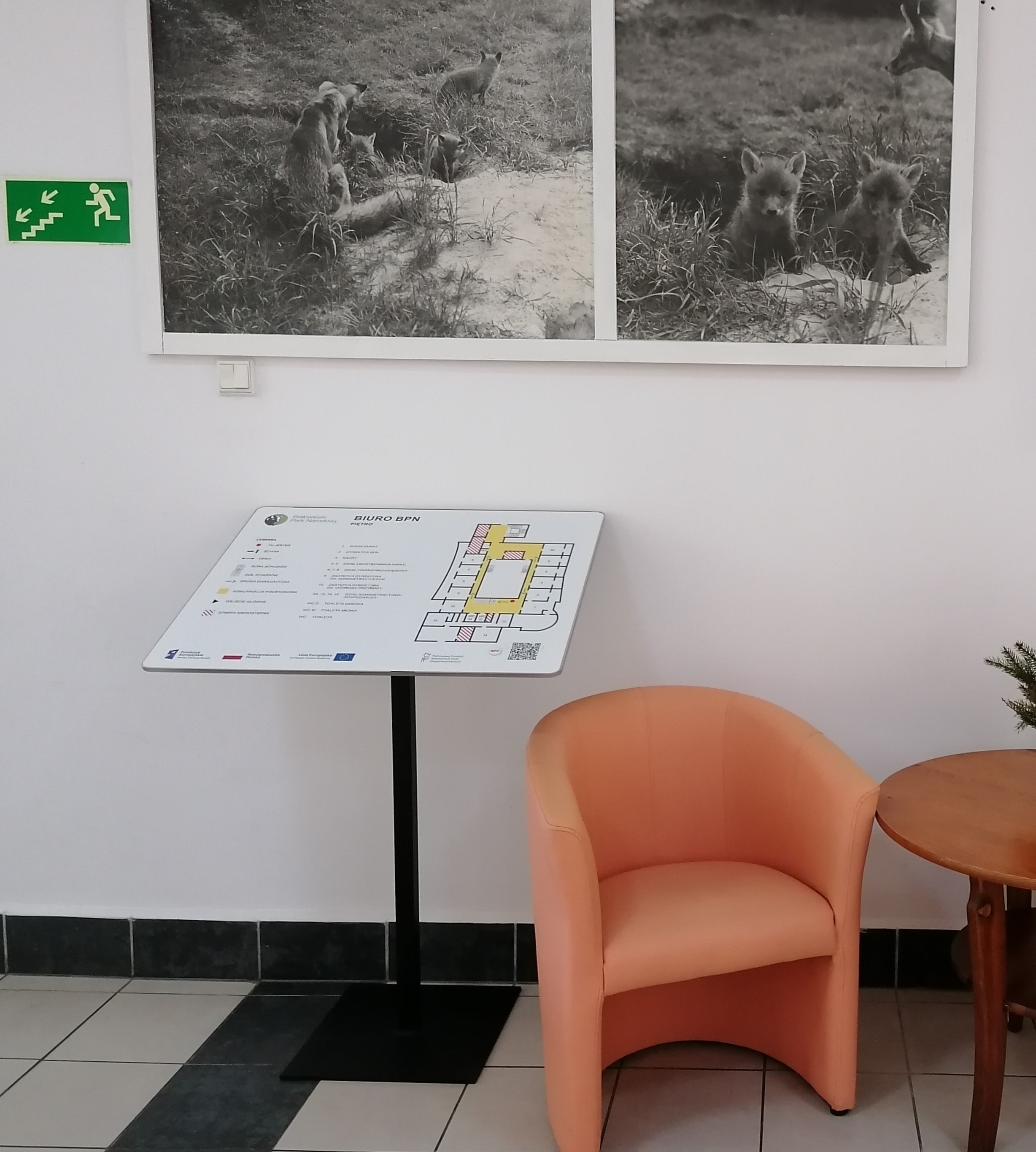 Tyflomapa w budynku biura BPN Mapa tyflograficzna budynku Biura BPN stojąca na stojaku na korytarzu. Obok pomarańczowy fotel i drewniany stolik. Nad mapą czarno-białe zdjęcia rodziny lisów.