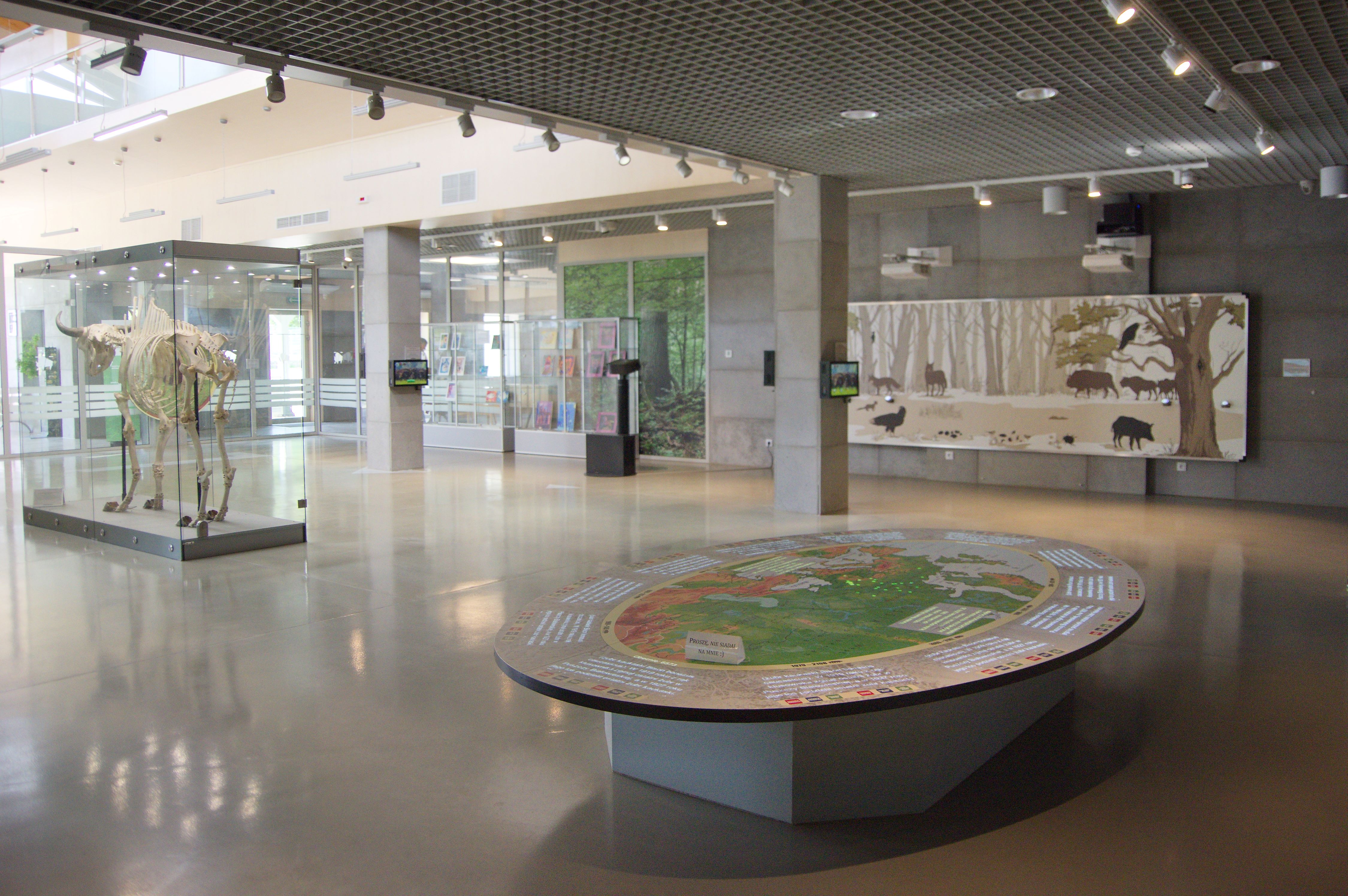 Stanowiska edukacyjne w pawilonie Rezerwatu Pokazowego Żubrów Wnętrze wystawy eksponatów w muzeum. Na pierwszym planie owalna makieta hipsometryczna. Z lewej w tle szkielet żubra w szklanej gablocie. Z prawej w tle mapa interaktywna z wizerunkami zwierząt leśnych.
