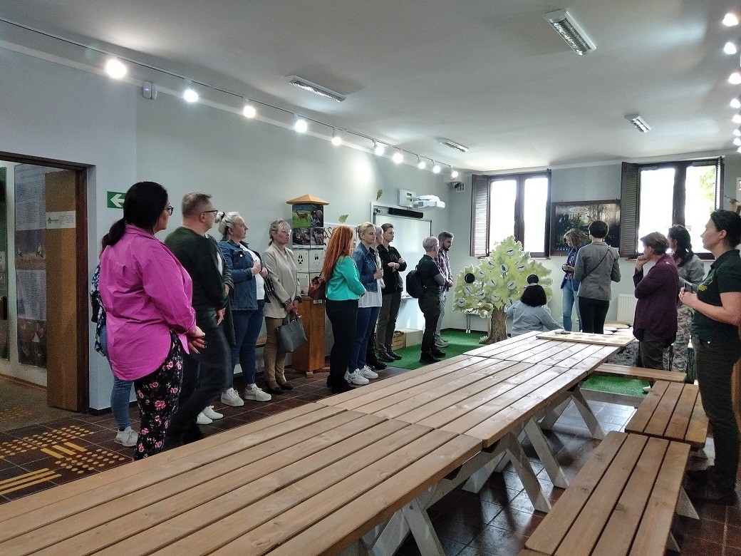 Sala edukacyjna z grupą zwiedzających. Na pierwszym planie długie drewniane stoły z ławkami. Na ścianie tablice edukacyjne, na podłodze żółte pola i pasy uwagi dla niewidomych.
