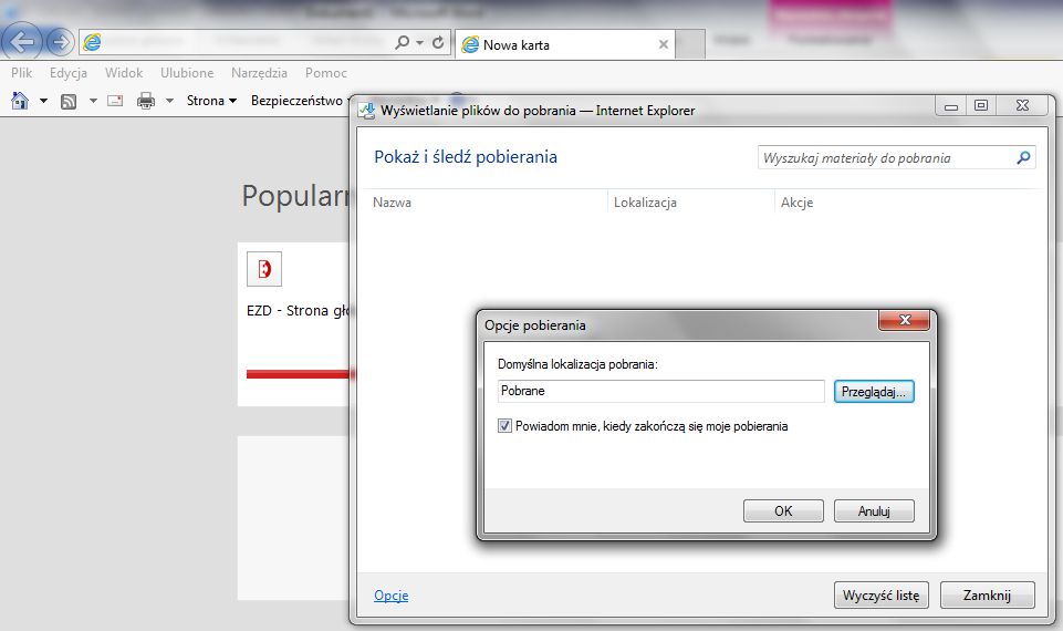 Ekran o nazwie Wyświetlanie plik&oacute;w do pobrania - Internet Explorer