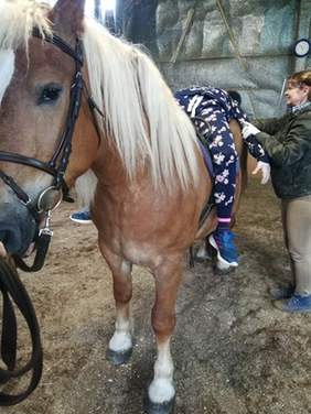 Pokaż zdjęcie: Zajęcia hipoterapeutyczne dla osób z niepełnosprawnością prowadzone w Ośrodku Hipoterapii i Rehabilitacji Konnej w Czeszewie.