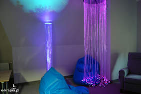 Pokaż zdjęcie: Nowa siedziba Warsztatów Terapii Zajęciowej w Sępólnie Krajeńskim