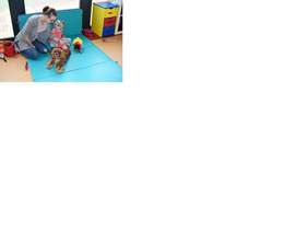 Pokaż zdjęcie: Dogoterapia