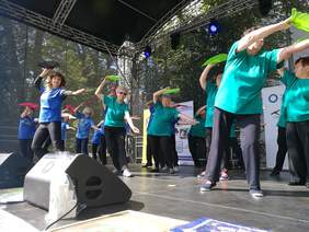 Pokaż zdjęcie: XVII Opolskie Dni Osób Niepełnosprawnych