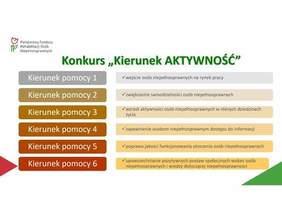 Pokaż zdjęcie: Informacja o konkursie AKTYWNOŚĆ - Kierunki pomocy