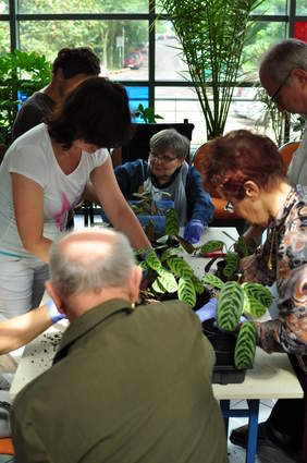 Zajęcia z horiterapii. Zdjęcie pochodzi ze zbiorów własnych Stowarzyszenia "Chronica" w Toruniu.