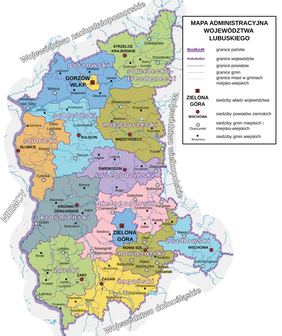 Pokaż zdjęcie: Mapa województwa lubuskiego z podziałem na powiaty i gminy, kolorowa