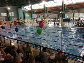 Pokaż zdjęcie: Zawody