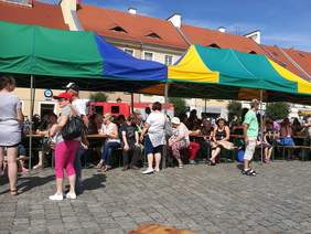 Pokaż zdjęcie: Festiwal Sztuki Osób Niepełnosprawnych w Lewinie Brzeskim 