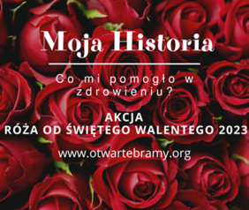 Pokaż zdjęcie: Na tle czerwonych róż napis Moja historia, co mi pomogło w zdrowieniu, akcja róża od świętego Walentego 2023 www.otwieramybramy.org 