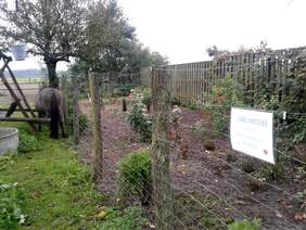 Pokaż zdjęcie: Ośrodek Hipoterapii i Rehabilitacji Konnej w Czeszewie