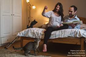 Pokaż zdjęcie: 7.jpg