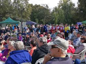 Pokaż zdjęcie: XVII Opolskie Dni Osób Niepełnosprawnych