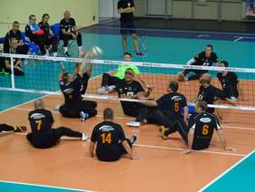 Pokaż zdjęcie: Grają siatkarze