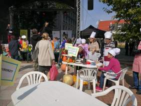 Pokaż zdjęcie: XVII Opolskie Dni Osób Niepełnosprawnych