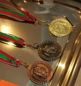 Pokaż zdjęcie: Medale dla zwycięzców