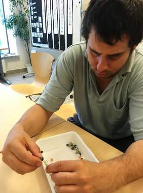 Pokaż zdjęcie: Podopieczny nawleka koraliki