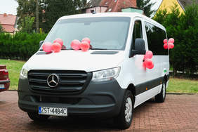 Pokaż zdjęcie: biały bus z czerwoną wstążką