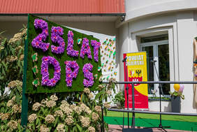 Pokaż zdjęcie: 25 lat DPS