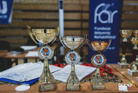 Pokaż zdjęcie: Statuetki dla zwycięzców w Mistrzostwach