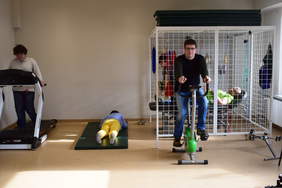 Pokaż zdjęcie: Fot_2.JPG