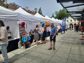 Pokaż zdjęcie: Na placu ustawione są namioty, pod którymi znajdują się stoiska różnych placówek, fundacji i organizacji. Przed stoiskami spacerują różne osoby. W tle widać produkty ręcznie robione, kwiaty, sztalugi z plakatami i zdjęciami. 