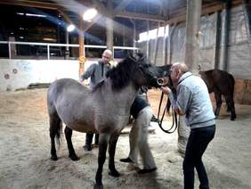 Pokaż zdjęcie: Uczestnicy rehabilitacji w Ośrodek Hipoterapii