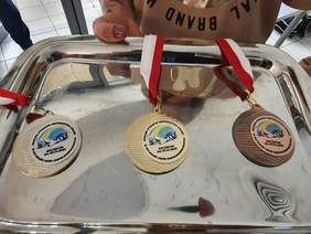 Pokaż zdjęcie: Medale 