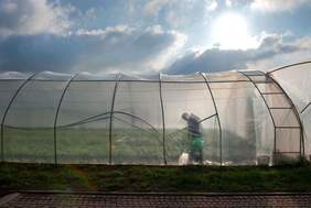 Pokaż zdjęcie: Przykładowe zdjęcie prezentowane na wystawie. Przedstawia osobę wykonującą prace ogrodnicze 