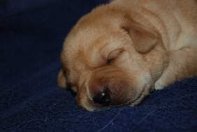 Pokaż zdjęcie: 3.jpg