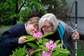 Pokaż zdjęcie: Plakat