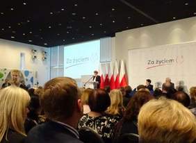 Pokaż zdjęcie: wystąpienie Pani Minister