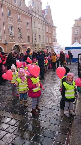 Pokaż zdjęcie: DSC_0247.JPG