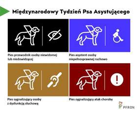 Pokaż zdjęcie: Na grafice znajdują się cztery kolory psa asystującego w zależności od rodzaju niepełnosprawności człowieka. Ponadto w prawym dolnym rogu jest umieszczone logo PFRON. 
