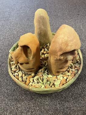 Pokaż zdjęcie: W glinianej misie na kamykach stoją trzy rude głowy z wielkimi, pustymi oczodołami, dużymi nosami z otwartymi ustami. Różnią się od siebie rozmiarami i kształtem.