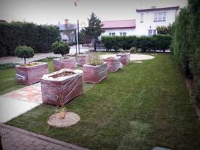 Pokaż zdjęcie: W ŚDS w Aleksandrowie Kujawskim powstał ogród sensoryczny