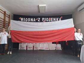 Pokaż zdjęcie: Polska flaga