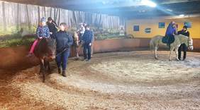 Pokaż zdjęcie: Hipoterapia