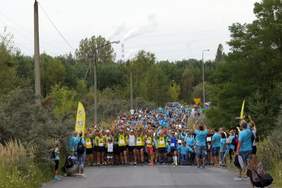 Pokaż zdjęcie: _DSC0422.JPG