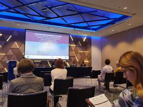 Pokaż zdjęcie: Konferencja