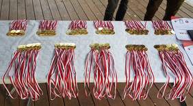 Pokaż zdjęcie: Medale dla uczestników rywalizacji w spotkaniu pn. "Nasze Victorie Wielkie i Małe"